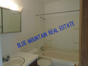 402 Mountain View Pl in Woodland Park, CO - Building Photo - Building Photo