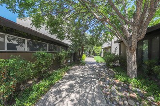 5701 E Glenn St in Tucson, AZ - Foto de edificio - Building Photo