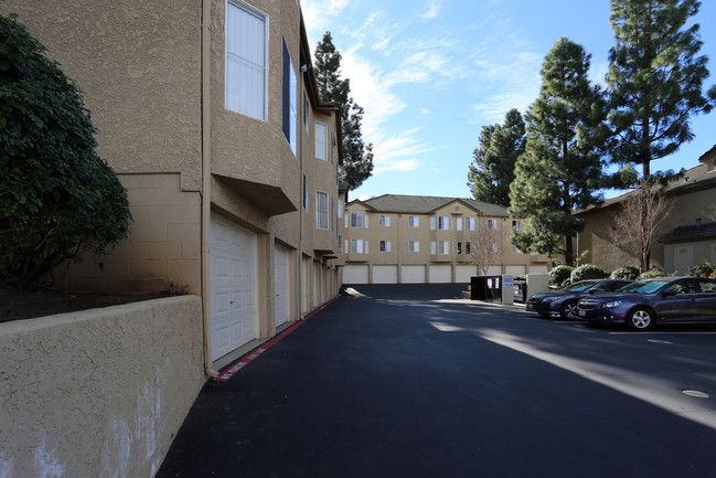 Country Views in Fallbrook, CA - Foto de edificio - Building Photo