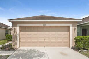 809 College Chase Dr in Ruskin, FL - Building Photo