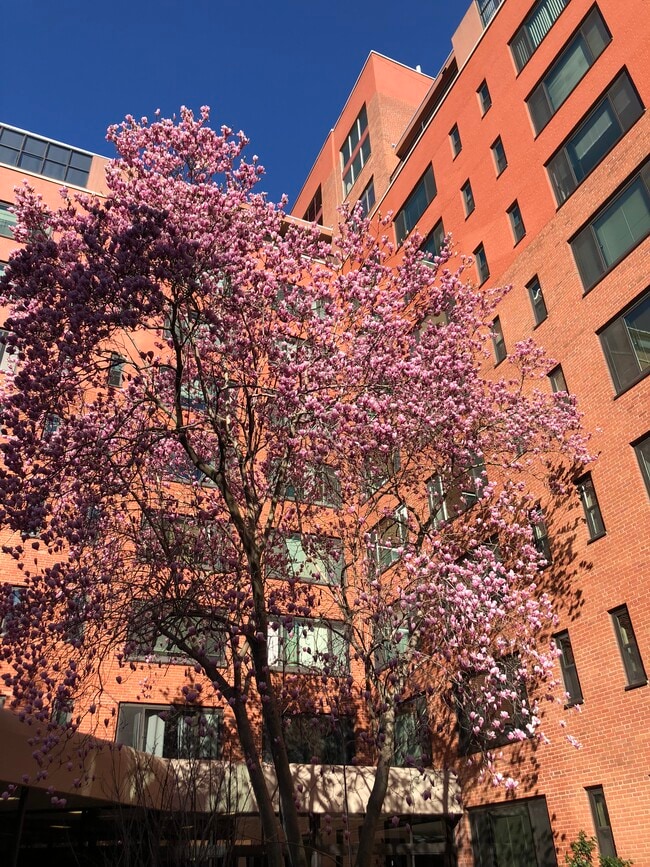 1021 Arlington Blvd, Unit 706 in Arlington, VA - Building Photo - Building Photo