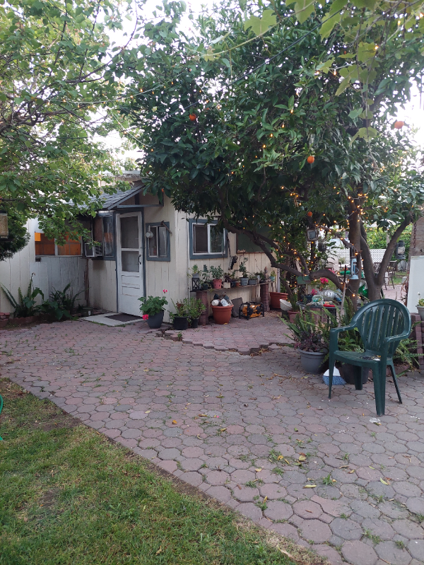 1636 D St in Livingston, CA - Foto de edificio - Building Photo