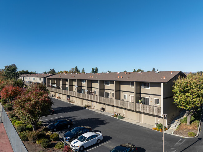 The Terraces in Hollister, CA - Foto de edificio - Building Photo