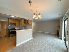 314 Wildberry Ct in Schaumburg, IL - Building Photo - Building Photo