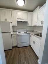 Pine Tree Village Apartments in Tucson, AZ - Building Photo - Building Photo