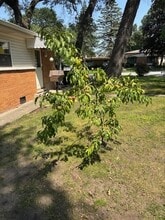 17218 Forestway Dr in Hazel Crest, IL - Building Photo - Building Photo