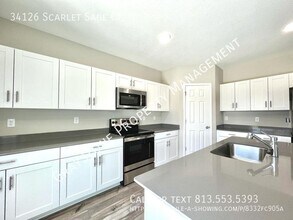 34126 Scarlet Sage Ct in Wesley Chapel, FL - Building Photo - Building Photo