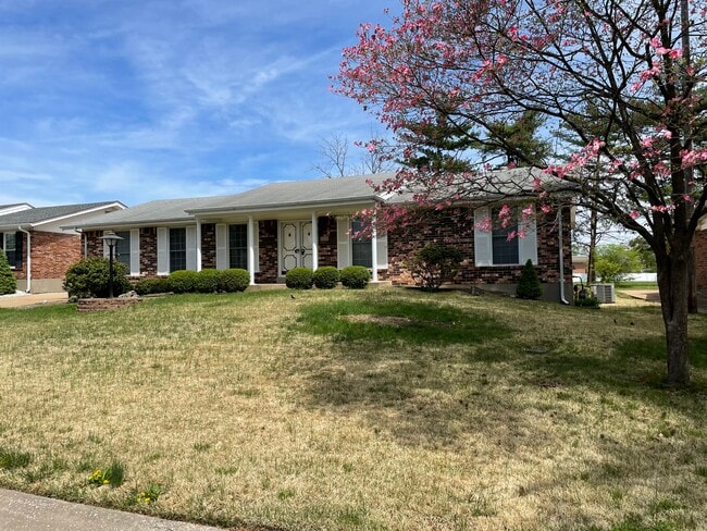 5819 Oak Branch Dr in St. Louis, MO - Foto de edificio - Building Photo