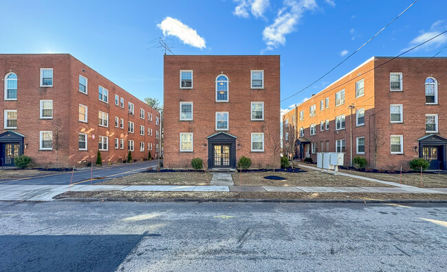 19 Chapman St