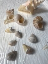 307 E Bay Ave in Newport Beach, CA - Building Photo