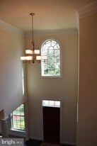 42159 Tecumseh Hills Dr in Chantilly, VA - Building Photo
