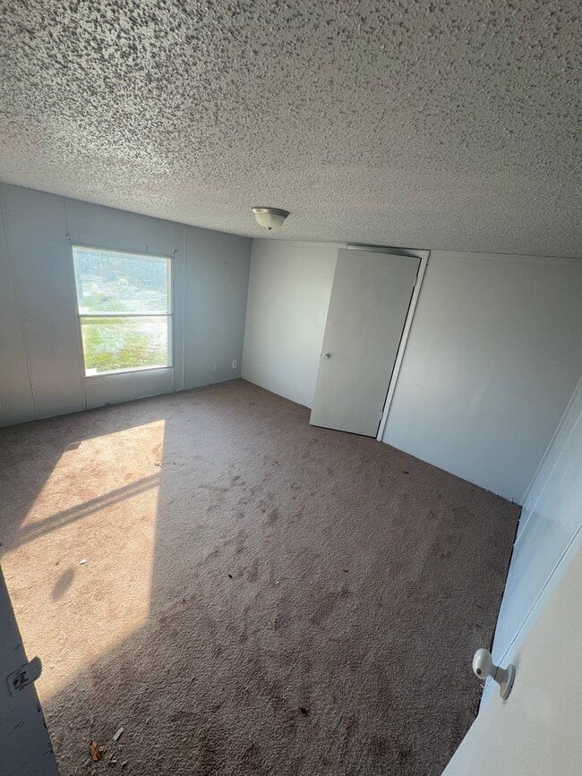 132 Wyles Ln in Jessieville, AR - Building Photo - Building Photo