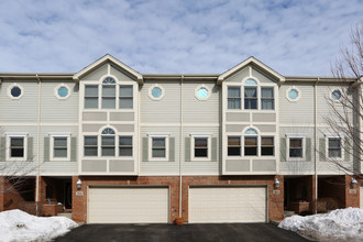 Townes of St. James in Palatine, IL - Foto de edificio - Building Photo