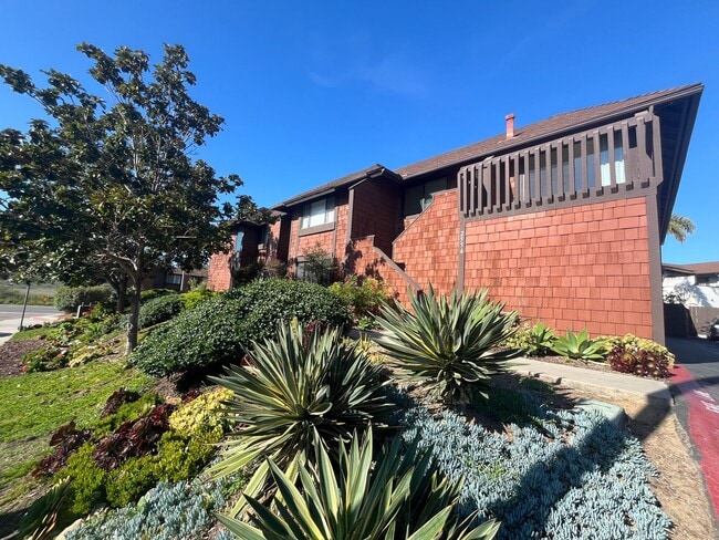 2556 Ocean Cove Dr in Encinitas, CA - Building Photo - Building Photo