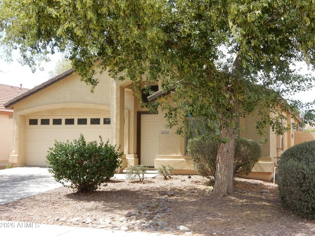 property at 40754 W Sanders Way