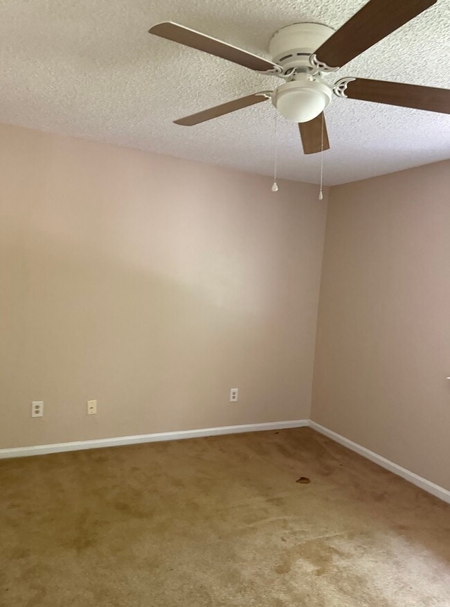 4704 Palm Tree Ln in Columbia, SC - Foto de edificio - Building Photo