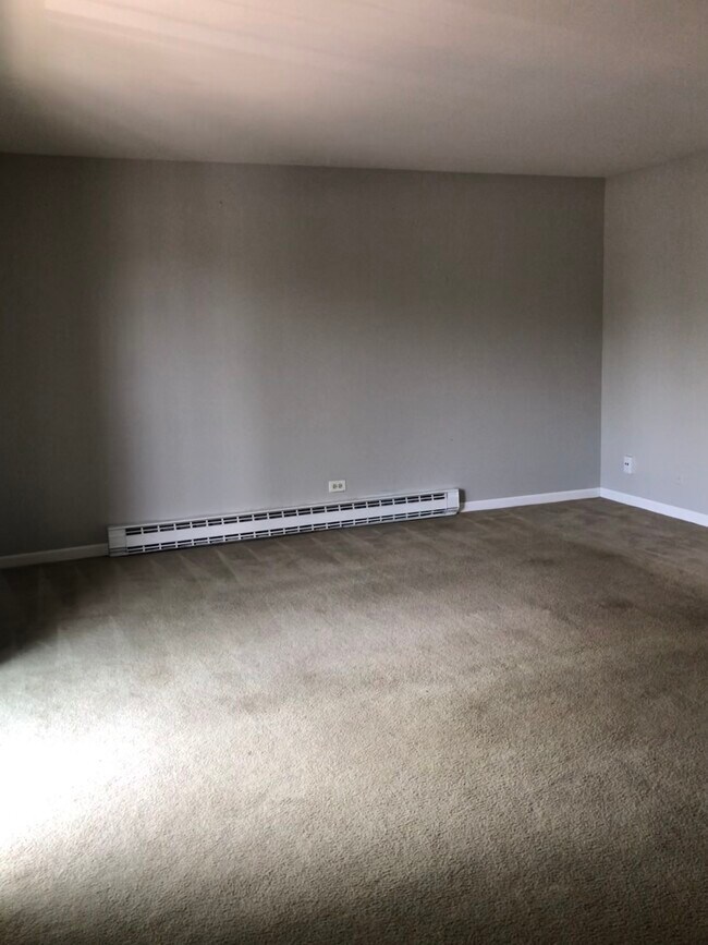 535 W Lies Rd in Carol Stream, IL - Building Photo - Building Photo