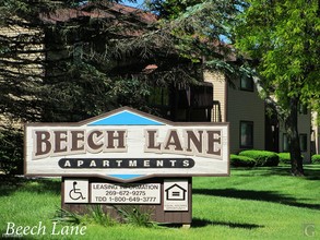 Beech Lane Apartments in Martin, MI - Foto de edificio - Building Photo