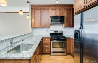 1107 N Elizabeth St in Denver, CO - Building Photo - Building Photo