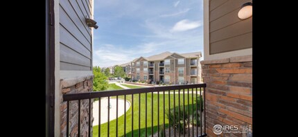1465 Blue Sky Cir in Erie, CO - Building Photo - Building Photo