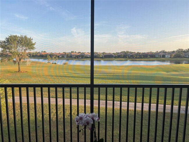 13719 Messina Loop in Bradenton, FL - Building Photo - Building Photo