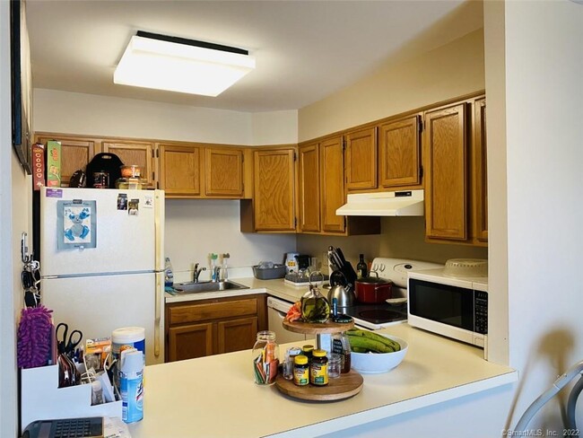 51 Schuyler Ave in Stamford, CT - Building Photo - Building Photo