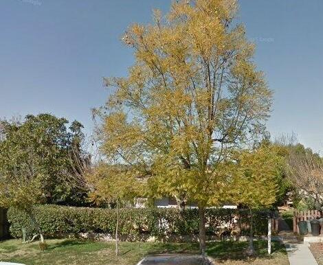 1148 E 3rd Ave in Escondido, CA - Building Photo