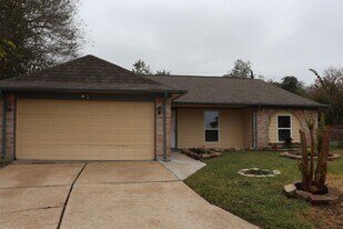 12507 New Rochelle Ct in Houston, TX - Building Photo