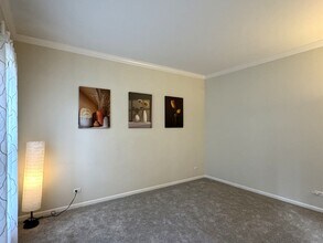 3828 Caine Ct in Naperville, IL - Building Photo - Building Photo