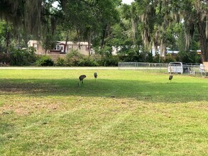 18449 SE 52nd Pl in Ocklawaha, FL - Building Photo - Building Photo