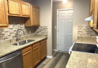 10479 Royal Tricia Dr in Conroe, TX - Building Photo - Building Photo