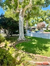 1808 N Edison Blvd in Burbank, CA - Building Photo - Building Photo