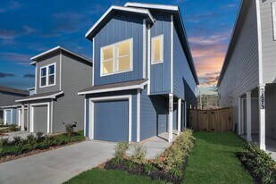 21269 Carosella Dr in New Caney, TX - Building Photo