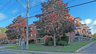 242 Oakdale Ave in St Catharines, ON - Building Photo