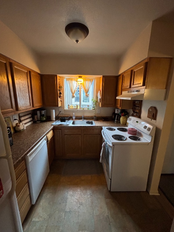 403 E Thunderbird Dr in Fort Collins, CO - Building Photo - Building Photo
