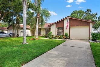 2007 Dover Ct in Oldsmar, FL - Building Photo - Building Photo