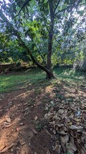 2068 E Lilac Ln in Decatur, GA - Building Photo - Building Photo