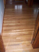 51-53-53 Westford Cir in Springfield, MA - Building Photo - Building Photo