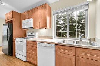 50 Spruce Dr in Bailey, CO - Building Photo - Building Photo