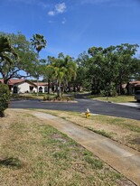3505 Tarpon Woods Blvd, Unit Vanita in Palm Harbor, FL - Building Photo