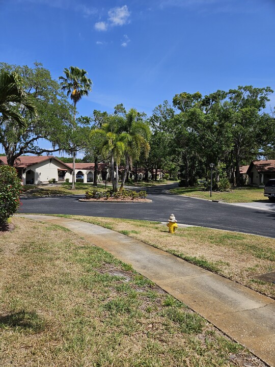 3505 Tarpon Woods Blvd, Unit Vanita in Palm Harbor, FL - Foto de edificio
