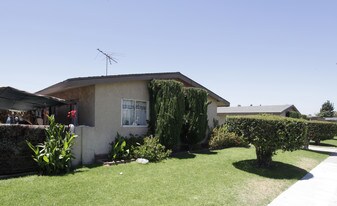 891-895 S Olive St in Anaheim, CA - Building Photo