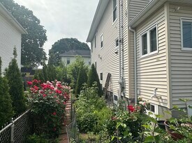 62 Antwerp St in Boston, MA - Building Photo