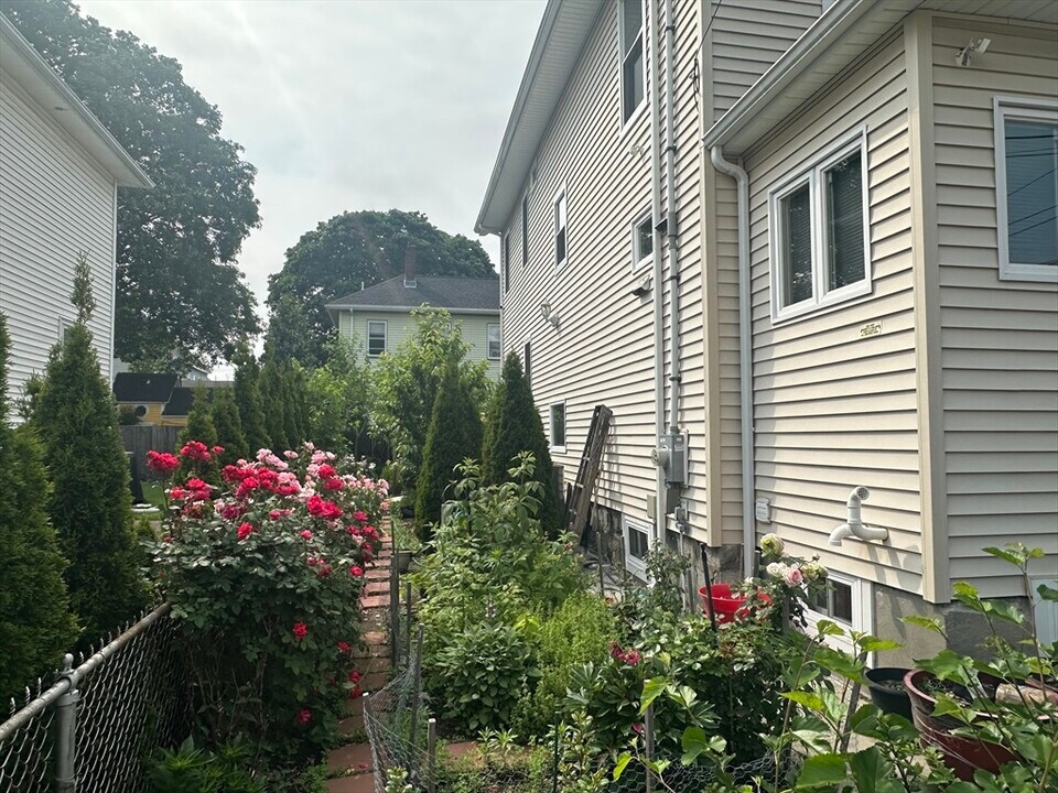 62 Antwerp St in Boston, MA - Building Photo