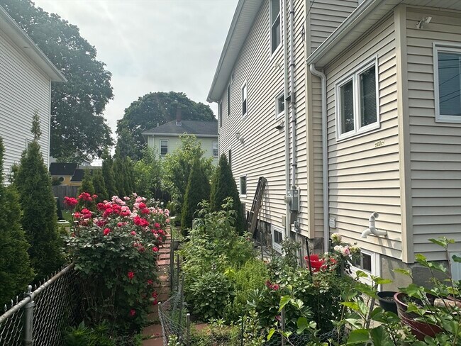 property at 62 Antwerp St
