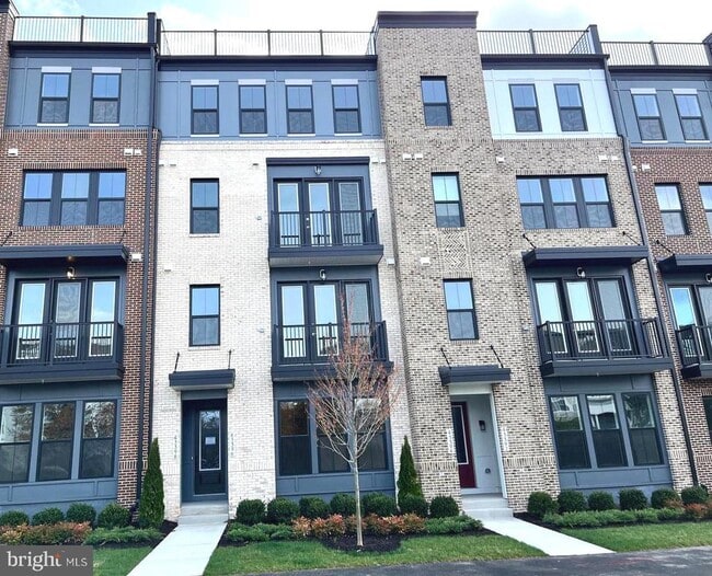 property at 43396 Farringdon Sq