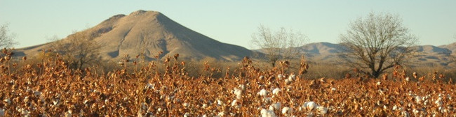 Casas Alquiler en Las Cruces, NM