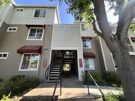 250 Santa Fe Terrace in Sunnyvale, CA - Building Photo