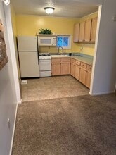 290 Dorwil Dr in Akron, OH - Foto de edificio - Building Photo