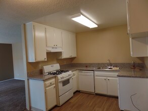 Norwalk Terrace Apartments in Whittier, CA - Building Photo - Building Photo